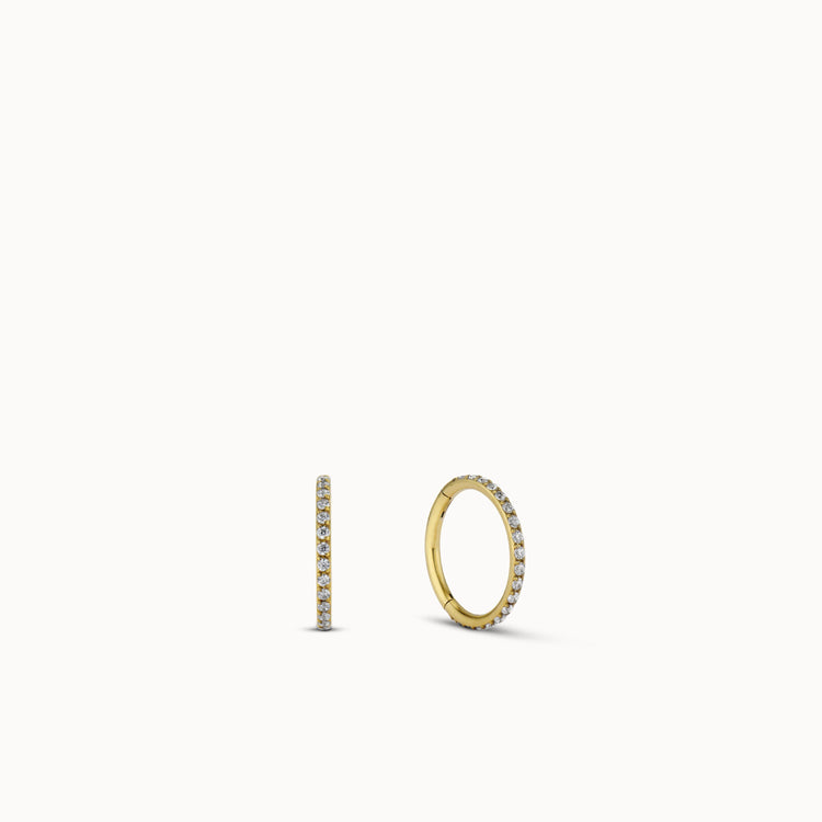pair:24k Gold over Titanium
