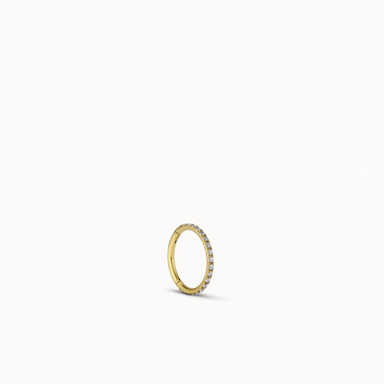 single:24k Gold over Titanium