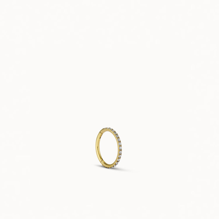 single:24k Gold over Titanium
