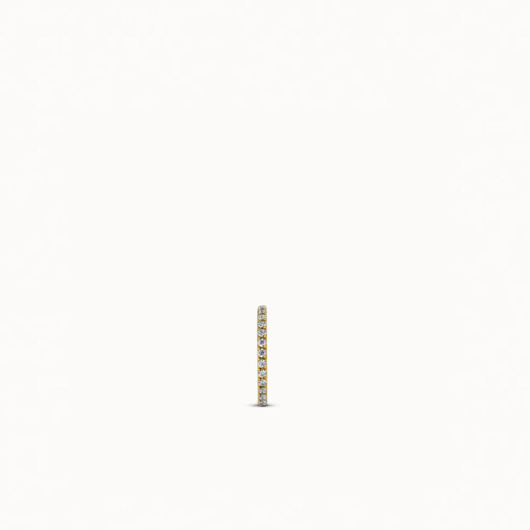 single:24k Gold over Titanium