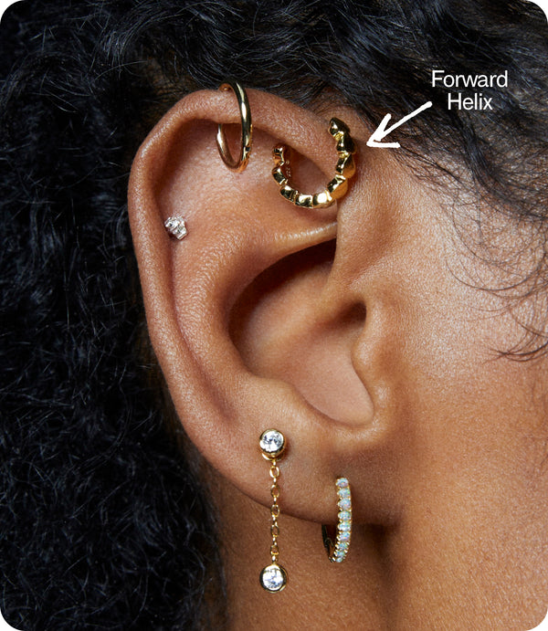 Forward Helix