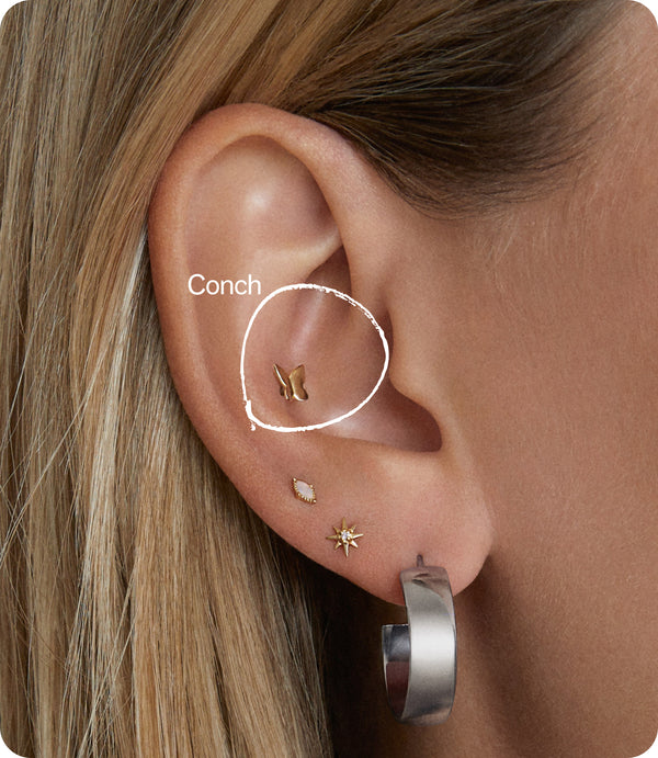 Conch