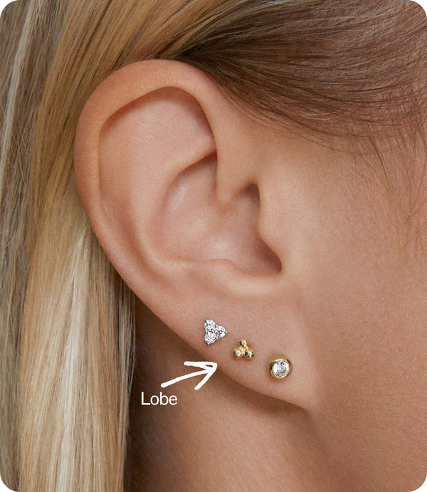 Lobe