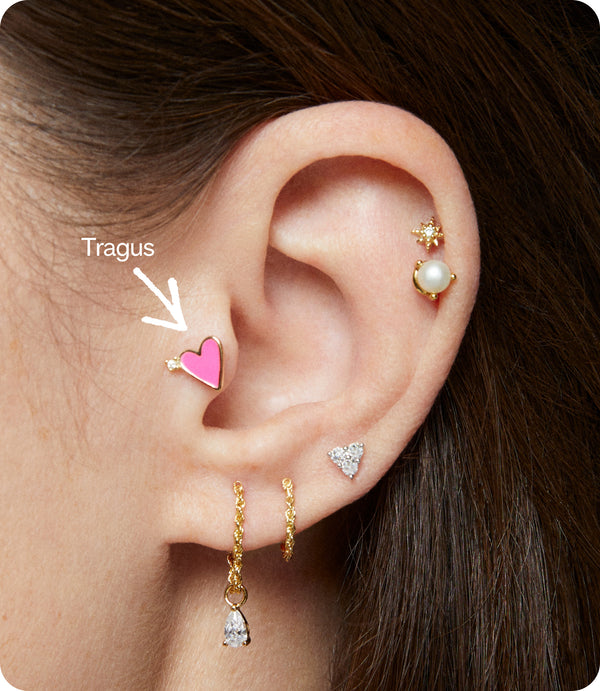 Tragus