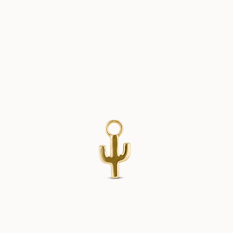 Cactus Charm
