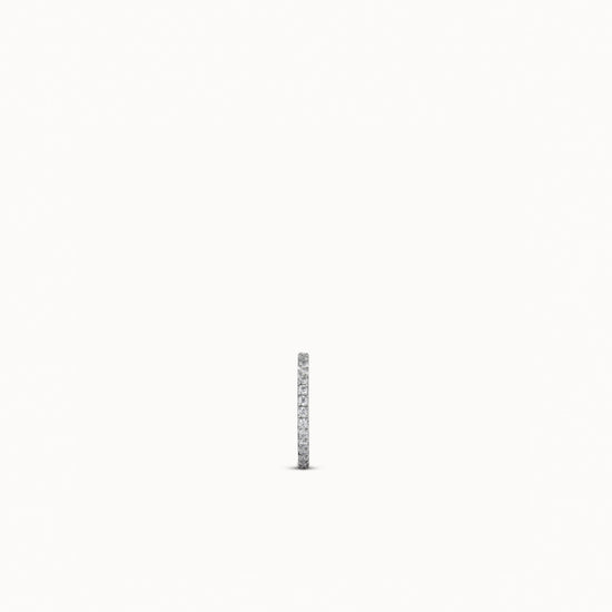 single:Platinum over Titanium