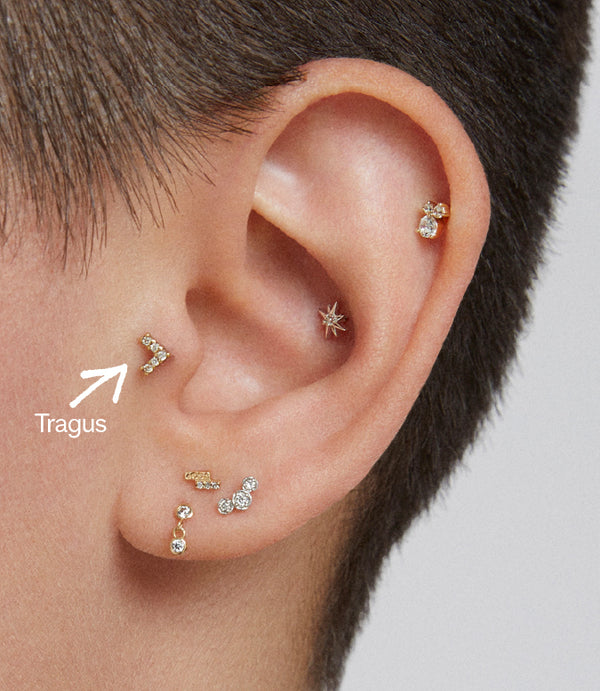 Tragus