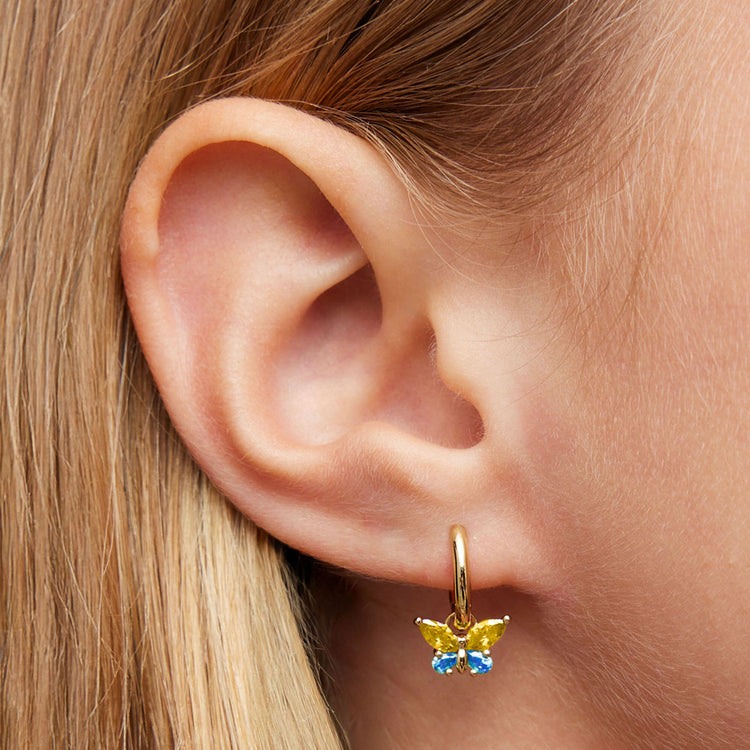 rollover:Blue & Yellow