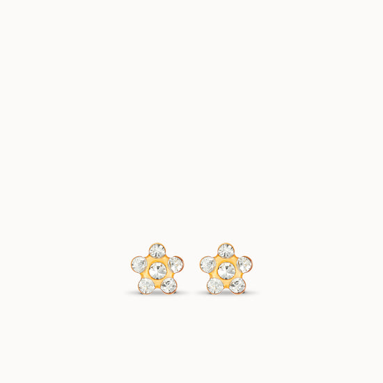variant:Clear