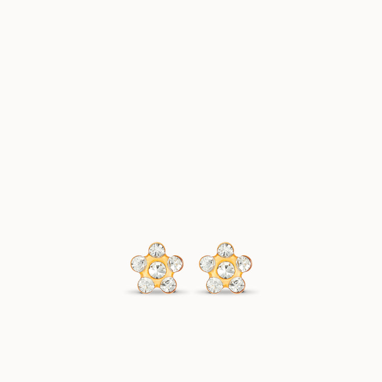 variant:Clear