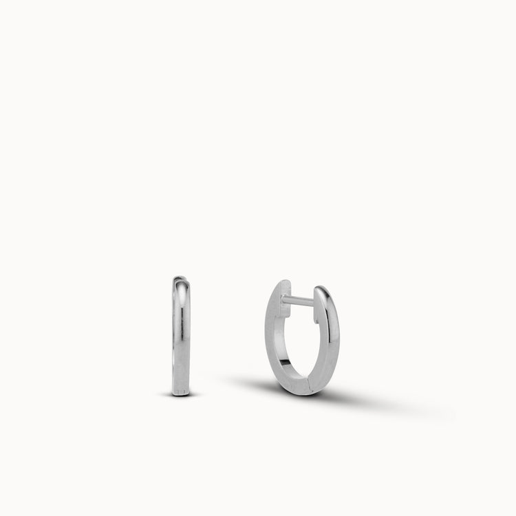 Stainless Steel Hoops