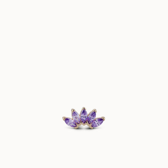 variant:violet