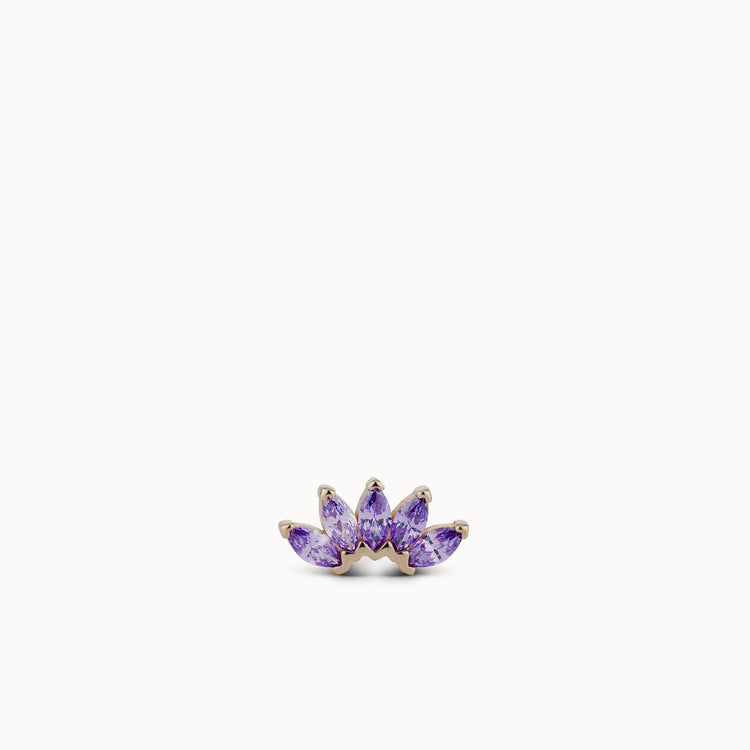 variant:violet