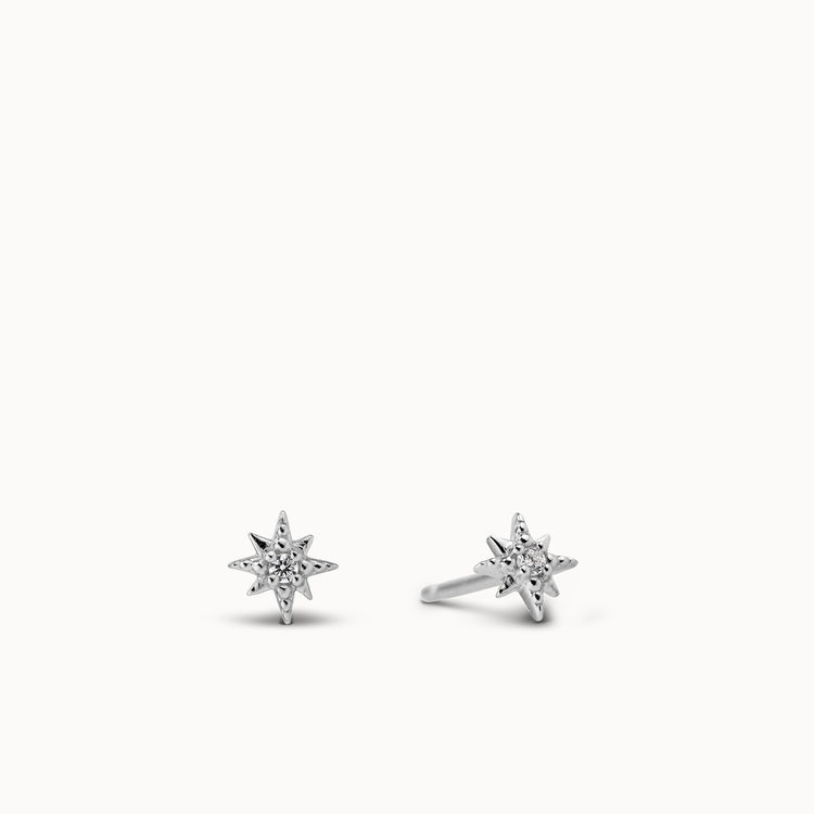 pair:sterling silver